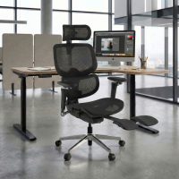 Ergonomischer Bürostuhl Erghos X2, flexibler Lendenwirbelstütze