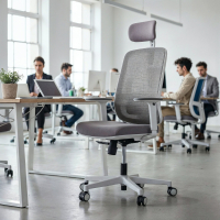 Ergonomischer Bürostuhl...