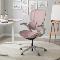 Ergonomischer Stuhl Erghos One, orthopädisch, doppelte Lendenwirbelstütze