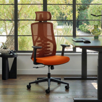 Ergonomischer Bürostuhl...
