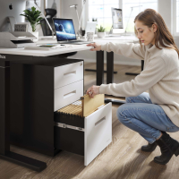 Rollcontainer Büro Block, 2 Schubladen + Hängeregister, Gestell Schwarz, Fronten Metall