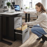 Rollcontainer Büro Block, 2 Schubladen + Hängeregister, Gestell Schwarz, Fronten Metall