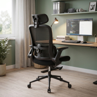 Ergonomischer Bürostuhl Dexter mit Lordosenstütze und klappbaren Armlehnen
