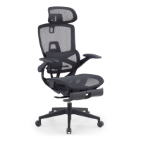Ergonomischer Bürostuhl...