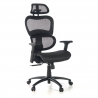 Ergonomischer Bürostuhl Ergocity, Lendenkissen, 3D-Armlehnen