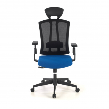 ergonomischer burostuhl blau ridley netzstoff 3d verstellbare armlehnen lordosenstutze kopfstutze 4