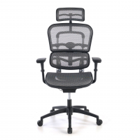 Ergonomischer Bürostuhl Ergohuman One, erstklassiger Stuhl, Aluminium