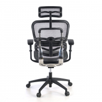 Ergonomischer Bürostuhl Ergohuman One, erstklassiger Stuhl, Aluminium