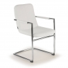 Besucherstuhl Dallas, bequem und robust, Freischwinger