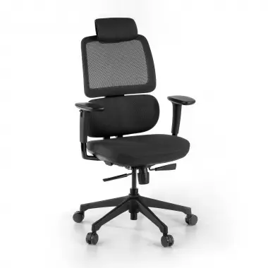 Ergonomischer Bürostuhl Bjorg, Premium-Modell, Doppel-Lordosenkissen