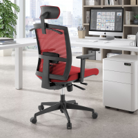 Ergonomischer Bürostuhl Akira, mit Kopfstütze