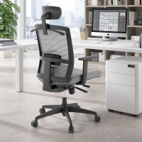Ergonomischer Bürostuhl Akira, mit Kopfstütze