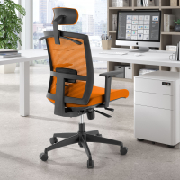 Ergonomischer Bürostuhl Akira, mit Kopfstütze