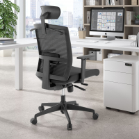 Ergonomischer Bürostuhl Akira, mit Kopfstütze