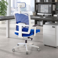 Ergonomischer Bürostuhl Akira white, mit Kopfstütze