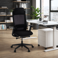 Ergonomischer Bürostuhl Intouch black, vollständig einstellbar