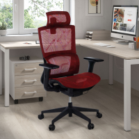 Ergonomischer Bürostuhl Winter, Lordosenstütze, Kopfstütze