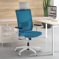 Ergonomischer Bürostuhl Verdi white, mit Kopfstütze, verstellbare Armlehnen