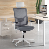 Ergonomischer Bürostuhl Verdi white, mit Kopfstütze, verstellbare Armlehnen