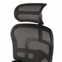 Ergonomischer Stuhl mit Fußstütze Ergohuman Edition I, Premium-Modell
