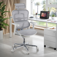 Luxus Ergonomischer Bürostuhl Ergohuman Edition I, weiße Struktur