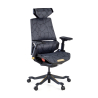 Gaming-Stuhl BloodDragon, Ergonomischer