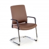 Freischwinger Stuhl Bali, ergonomische Rückenlehne, Kunstleder 210870 - (Outlet)